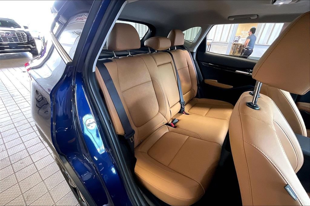 Used 2025 Kia Seltos EX w/ EX Sunroof Package AWD/4WD image 15