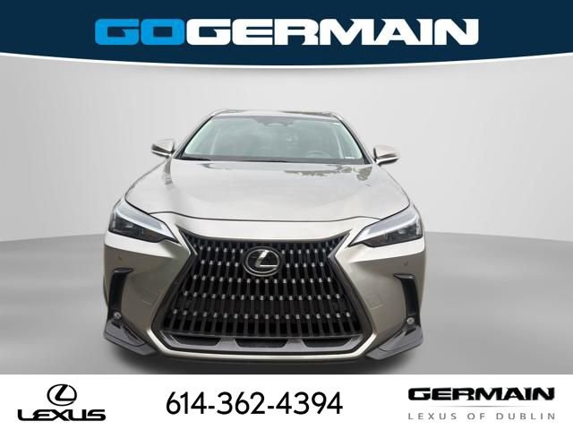 Used 2025 Lexus NX 350 AWD w/ Cold Area Package image 3