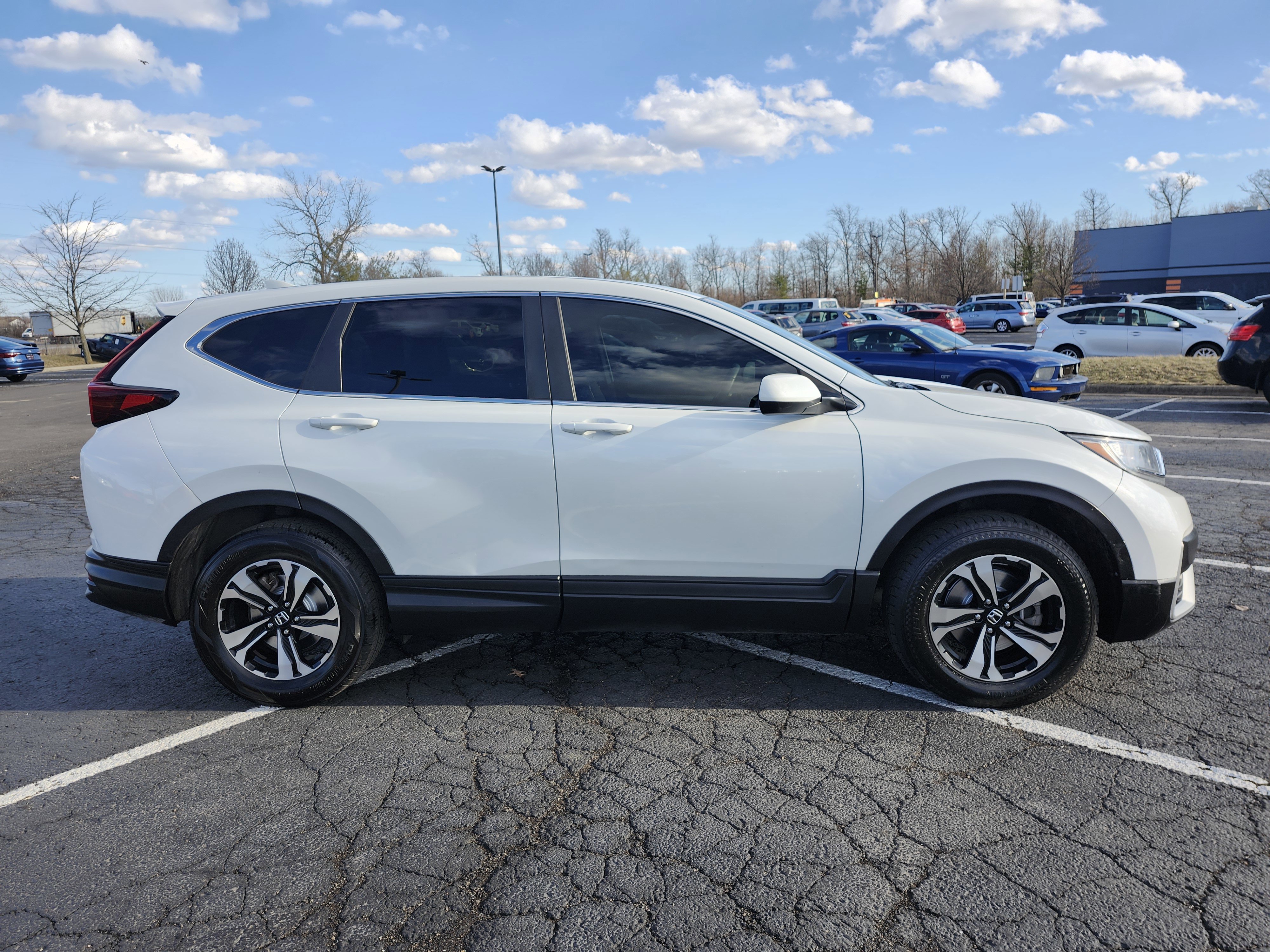 Used 2021 Honda CR-V Special Edition image 18