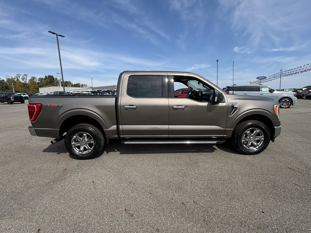 Used 2023 Ford F150 XLT w/ Equipment Group 302A High image 5