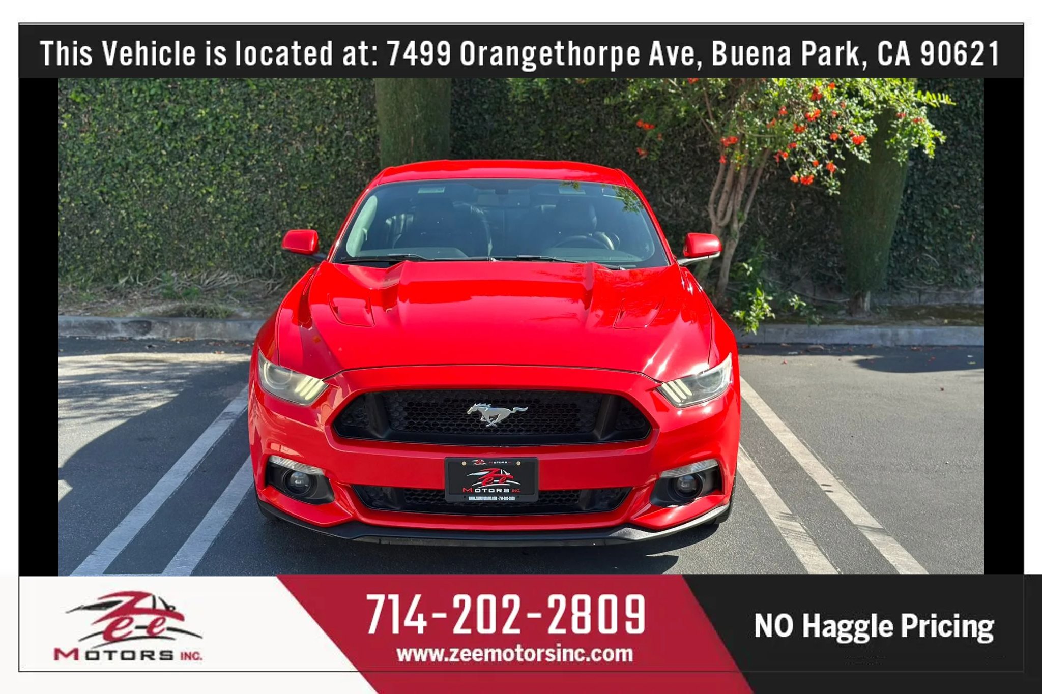 Used 2017 Ford Mustang GT Premium RWD image 3