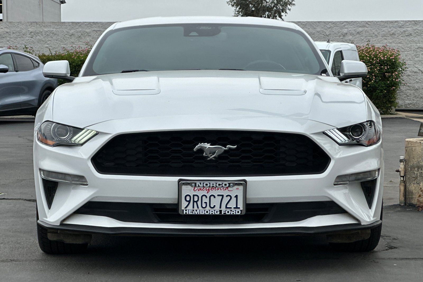 Used 2022 Ford Mustang Premium image 9