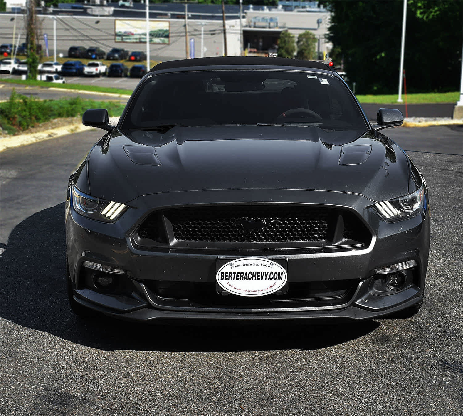Used 2016 Ford Mustang GT Premium w/ Equipment Group 401A RWD image 7