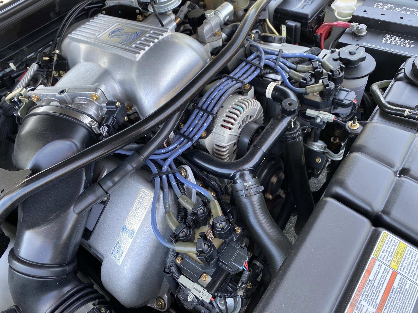Used 1996 Ford Mustang Cobra RWD image 11
