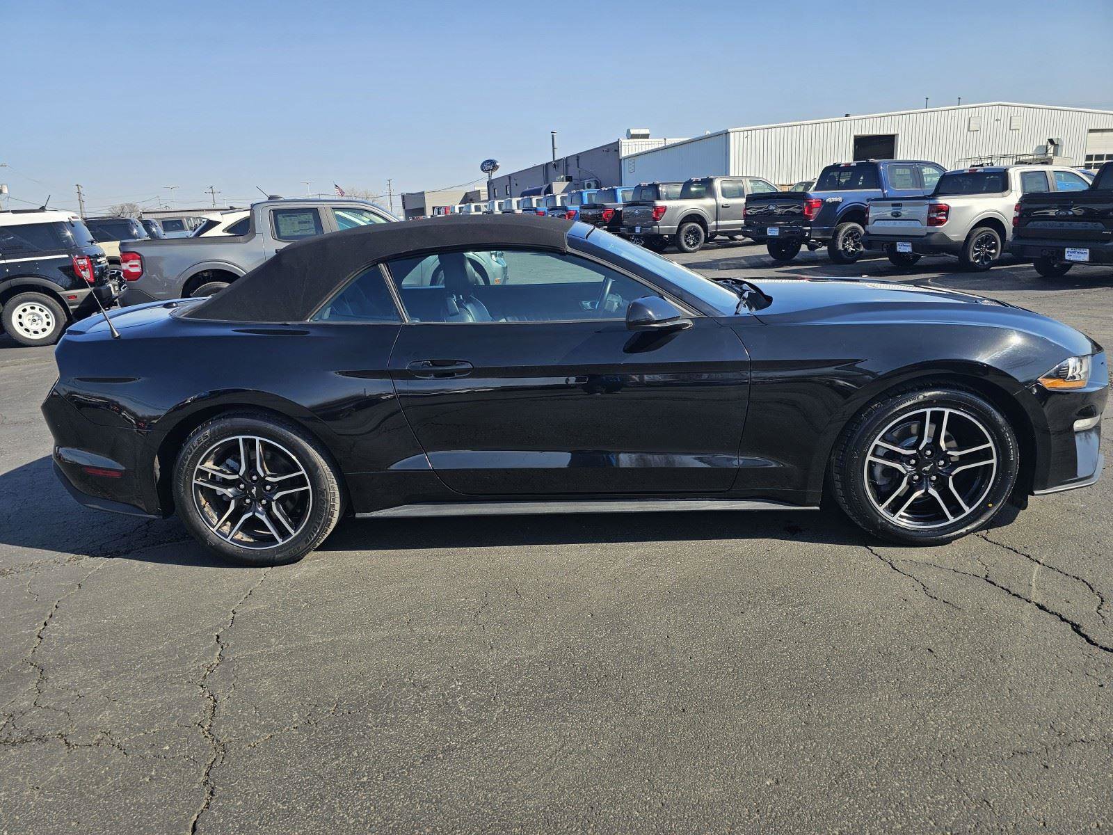 Used 2022 Ford Mustang Premium image 6