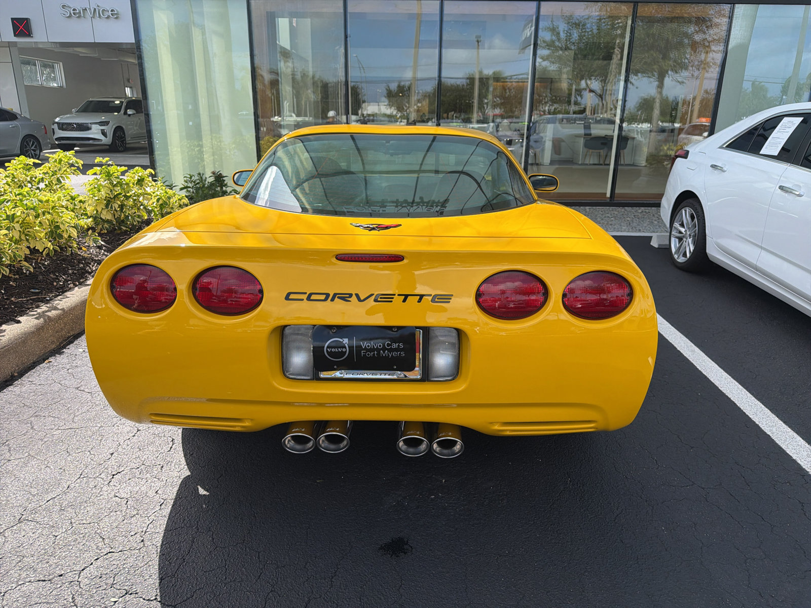 Used 2001 Chevrolet Corvette Coupe w/ Preferred Equipment Group1 RWD image 6