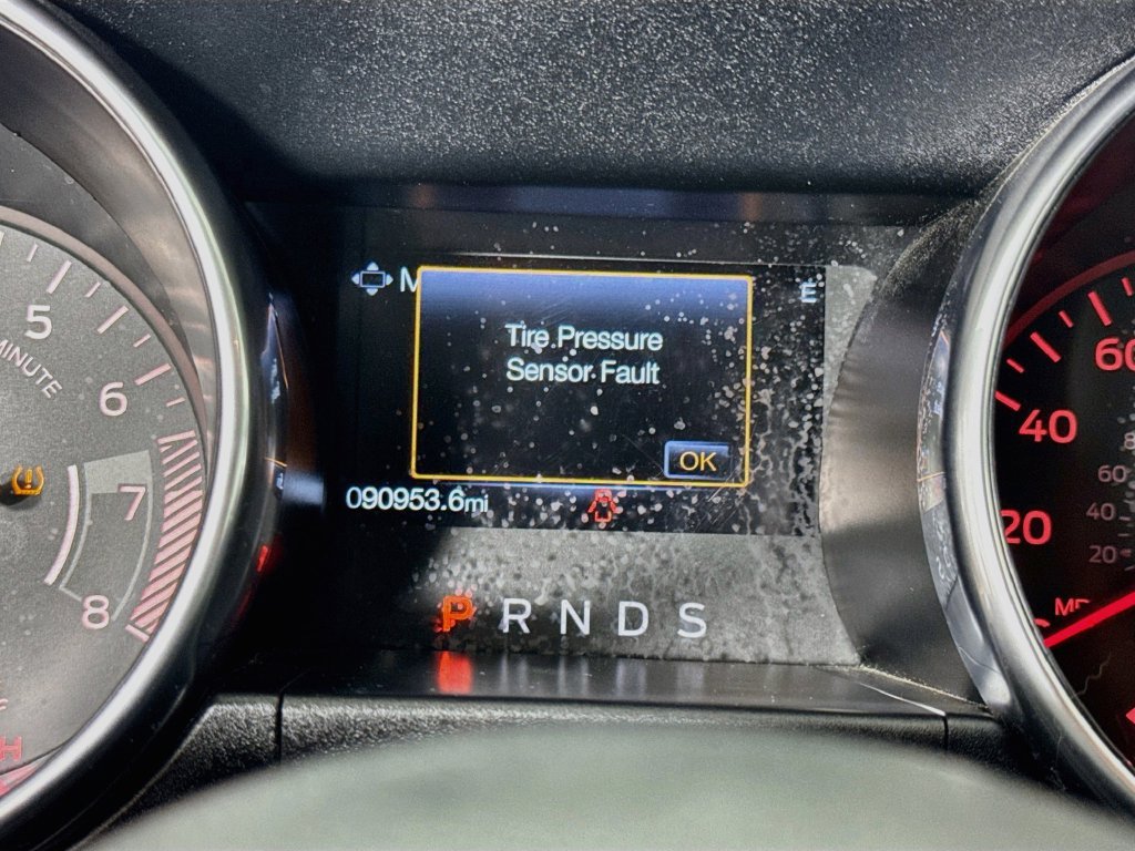 Used 2019 Ford Mustang Premium RWD image 15