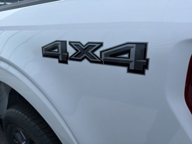 New 2026 Ford F150 STX w/ Equipment Group 200A image 7