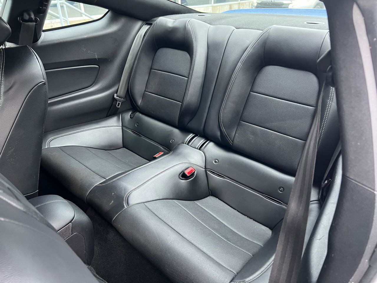 Used 2019 Ford Mustang Premium image 12