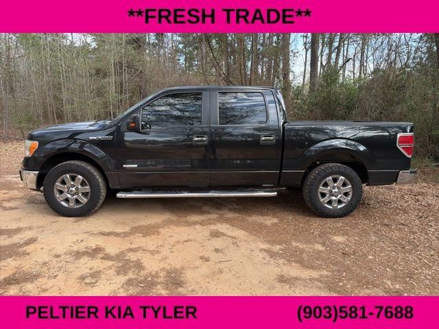 Used 2014 Ford F150 XLT w/ Equipment Group 302A Luxury image 8