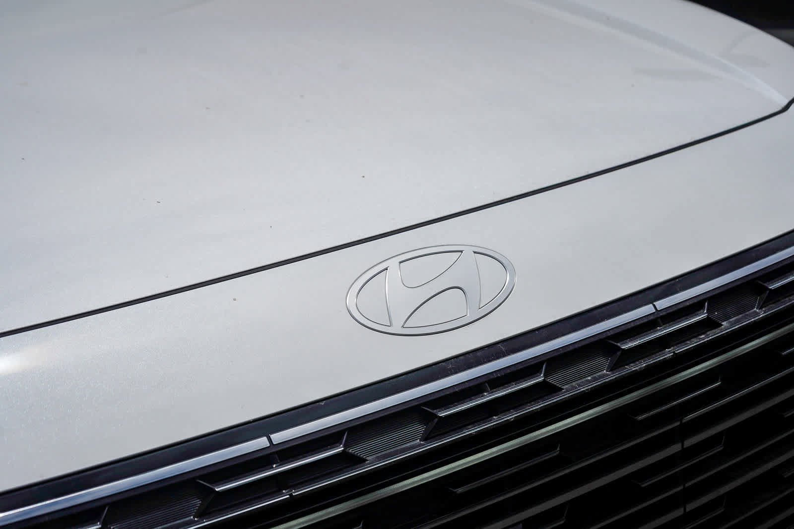 New 2026 Hyundai Palisade Calligraphy FWD image 11