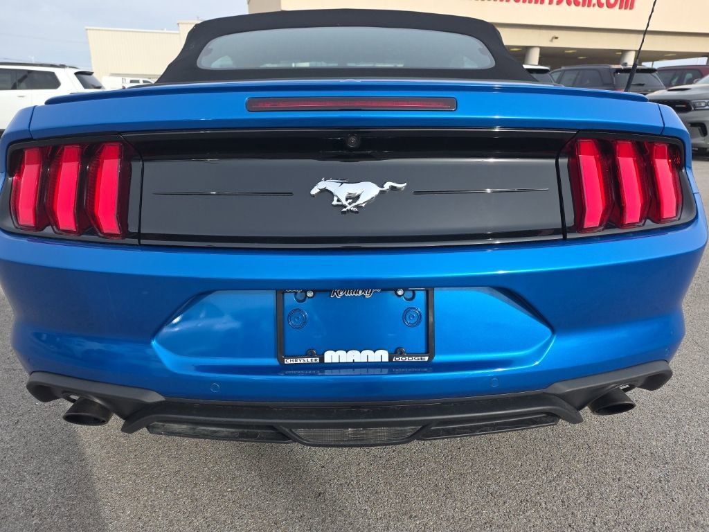 Used 2020 Ford Mustang EcoBoost w/ Equipment Group 101A image 6