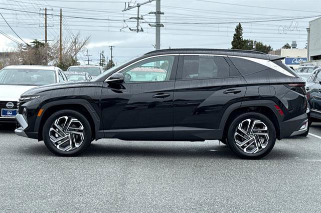 Used 2025 Hyundai Tucson Limited image 6