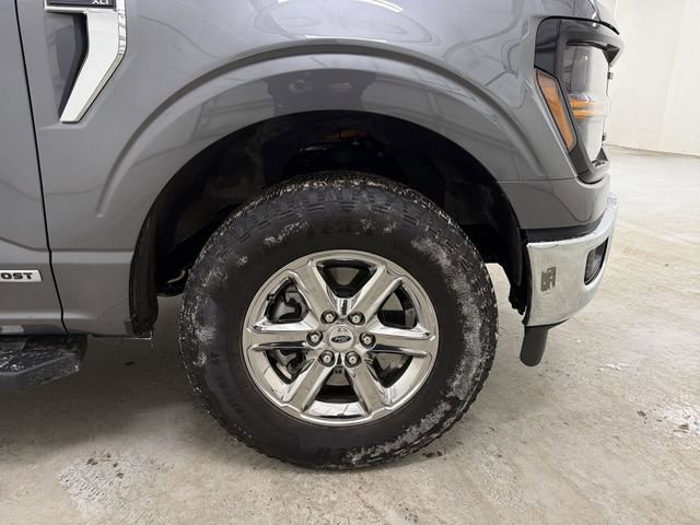 Used 2025 Ford F150 XLT w/ Equipment Group 301A Standard image 14