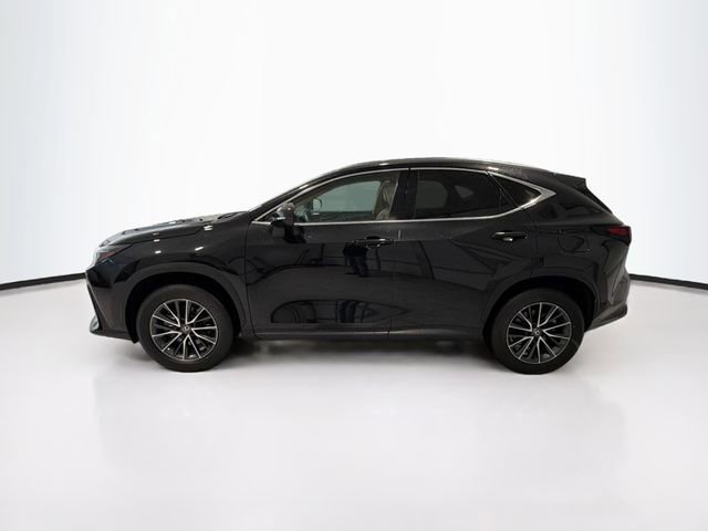 Used 2024 Lexus NX 350h AWD image 4