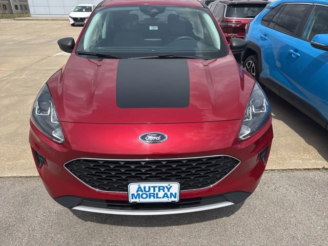 Used 2022 Ford Escape SE AWD/4WD image 3