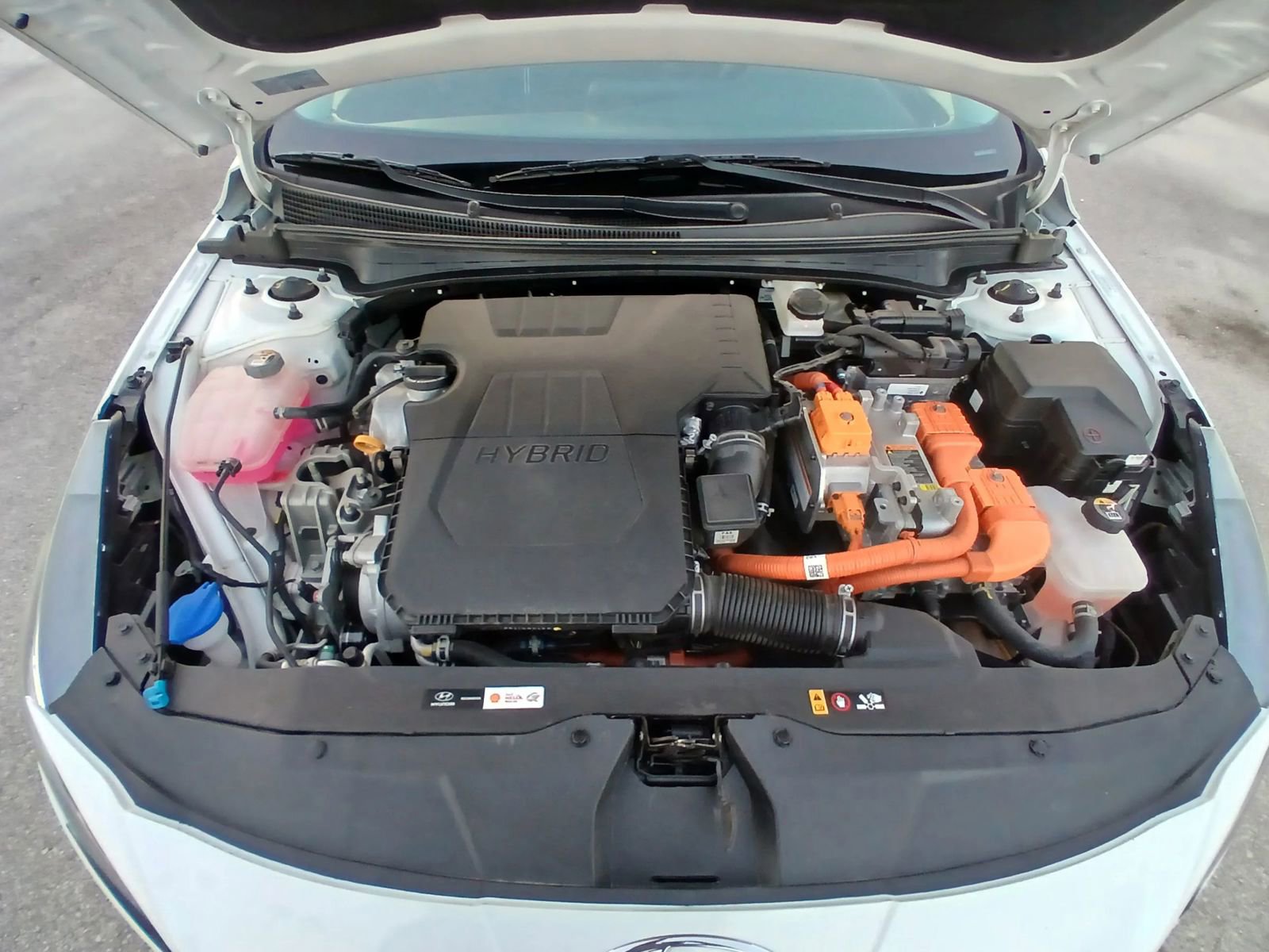 Used 2023 Hyundai Elantra Blue w/ Cargo Package image 24