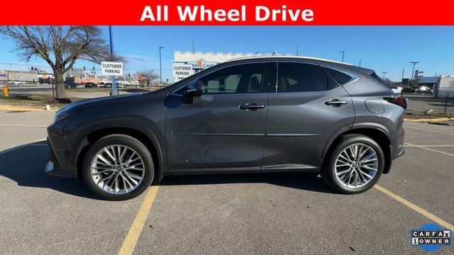 Used 2025 Lexus NX 350 AWD w/ Cold Area Package image 5