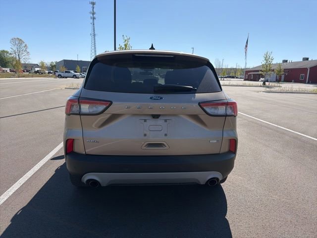 Used 2020 Ford Escape SEL AWD/4WD image 5