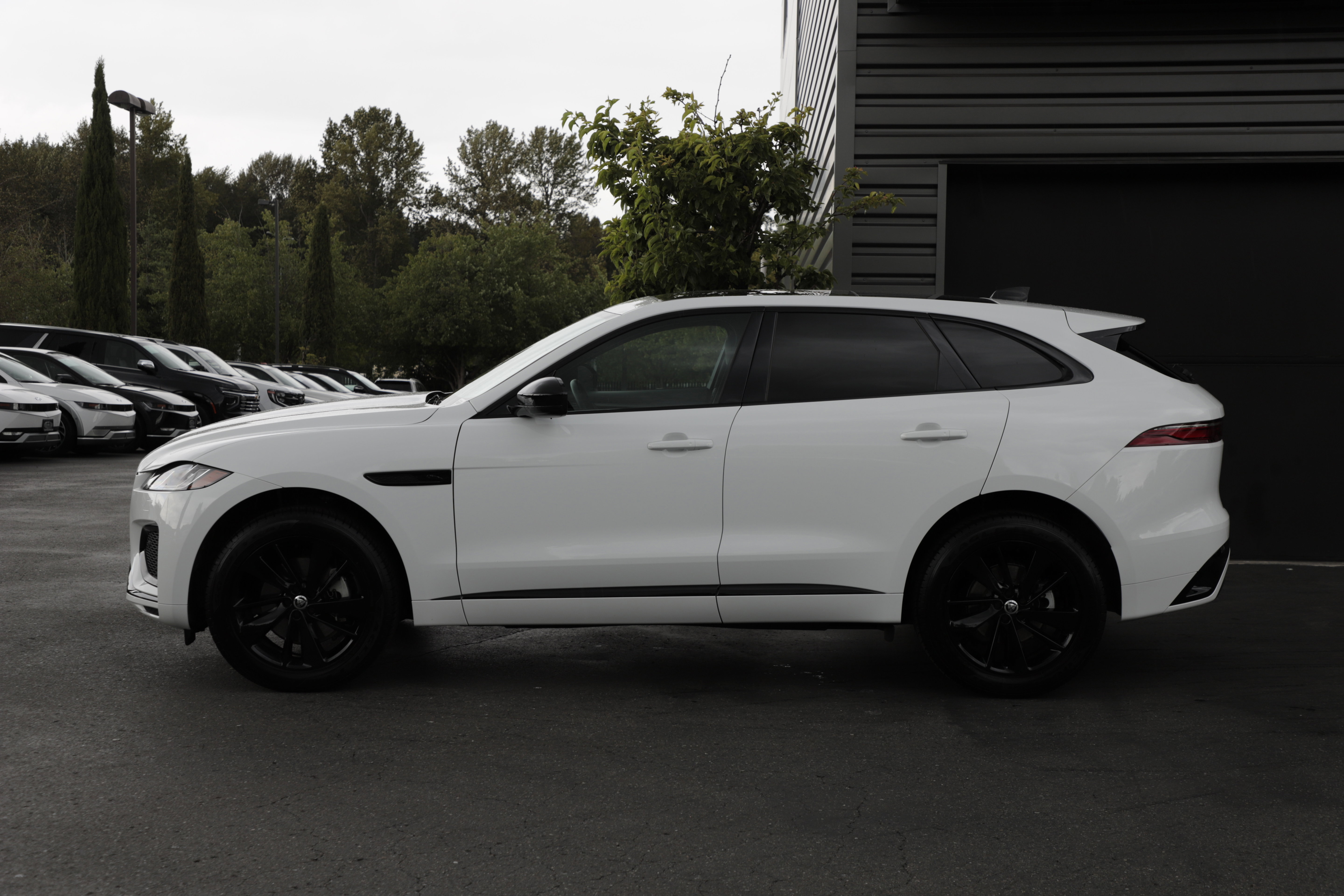 Certified 2025 Jaguar F-PACE R-Dynamic S AWD/4WD image 5