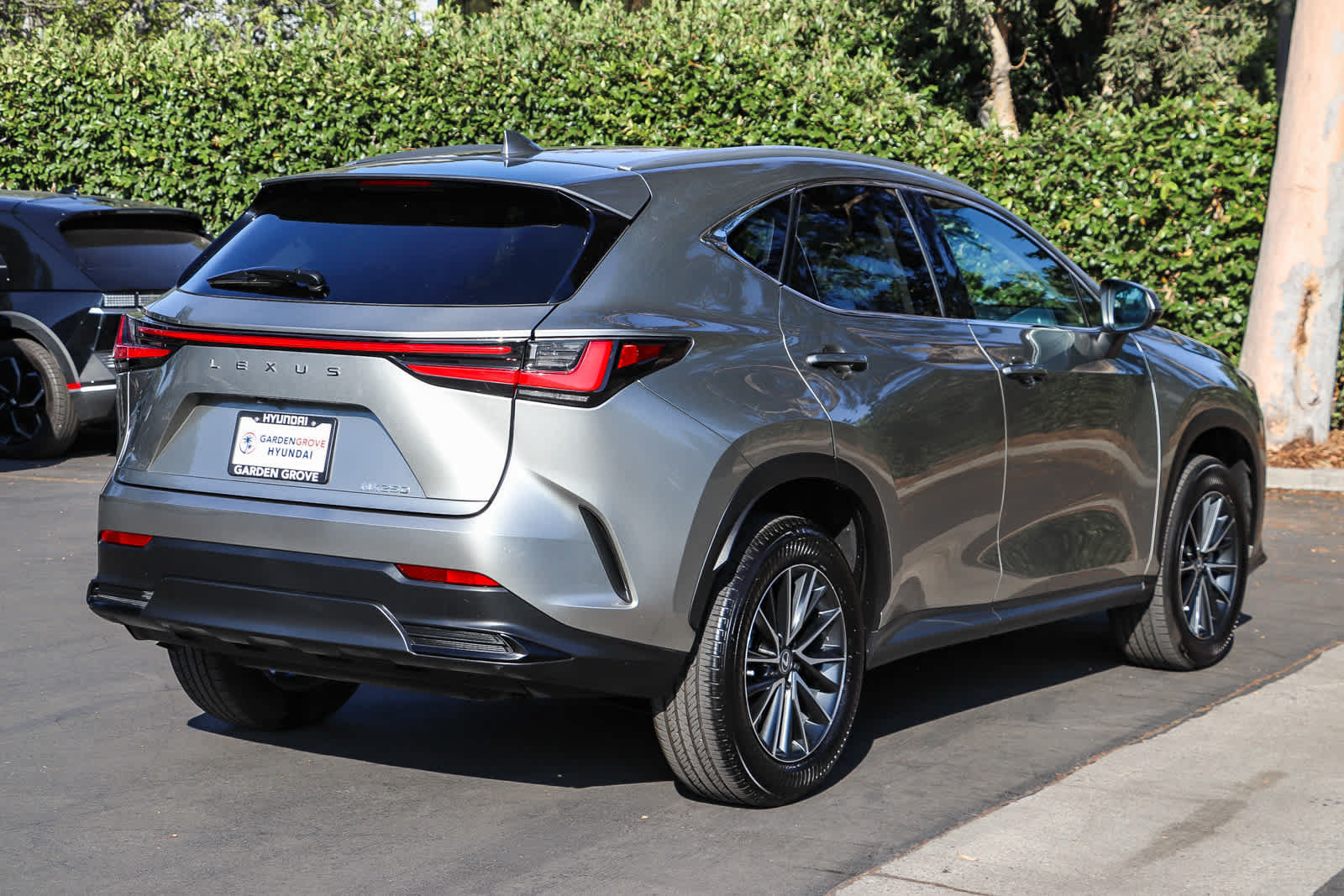 Used 2024 Lexus NX 250 FWD image 6