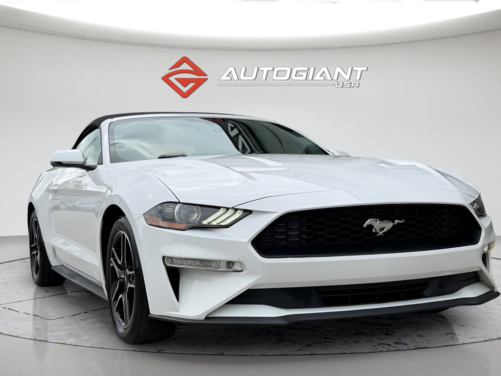 Used 2019 Ford Mustang Premium RWD image 14