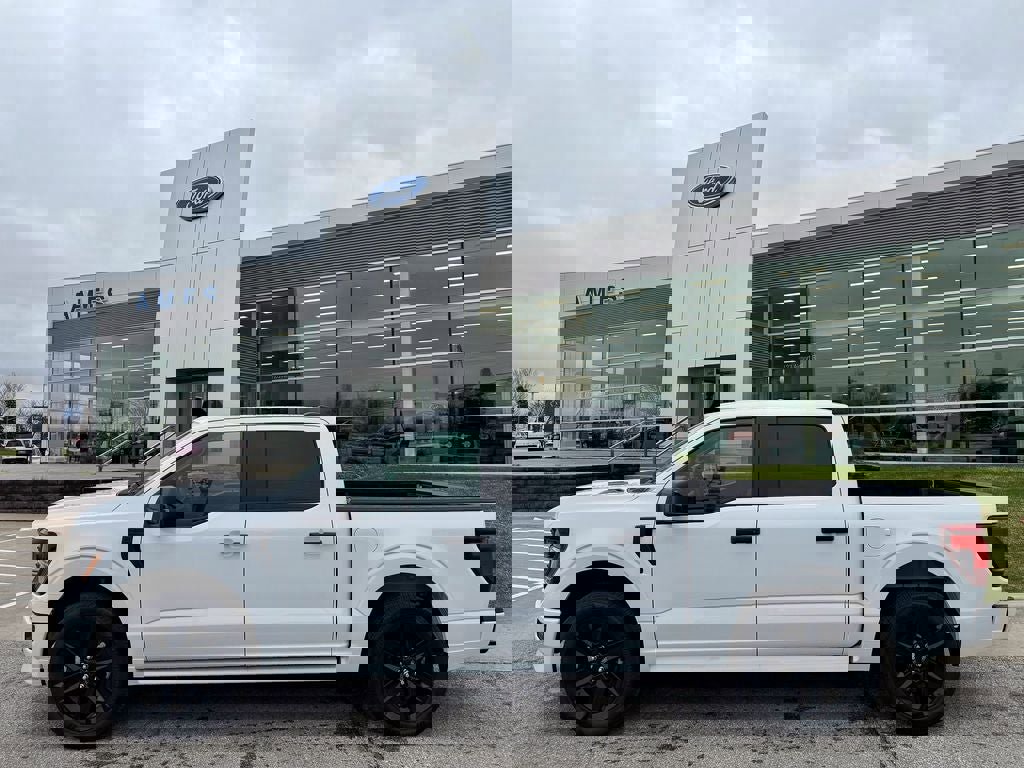 New 2025 Ford F150 STX w/ LOBO Package image 3