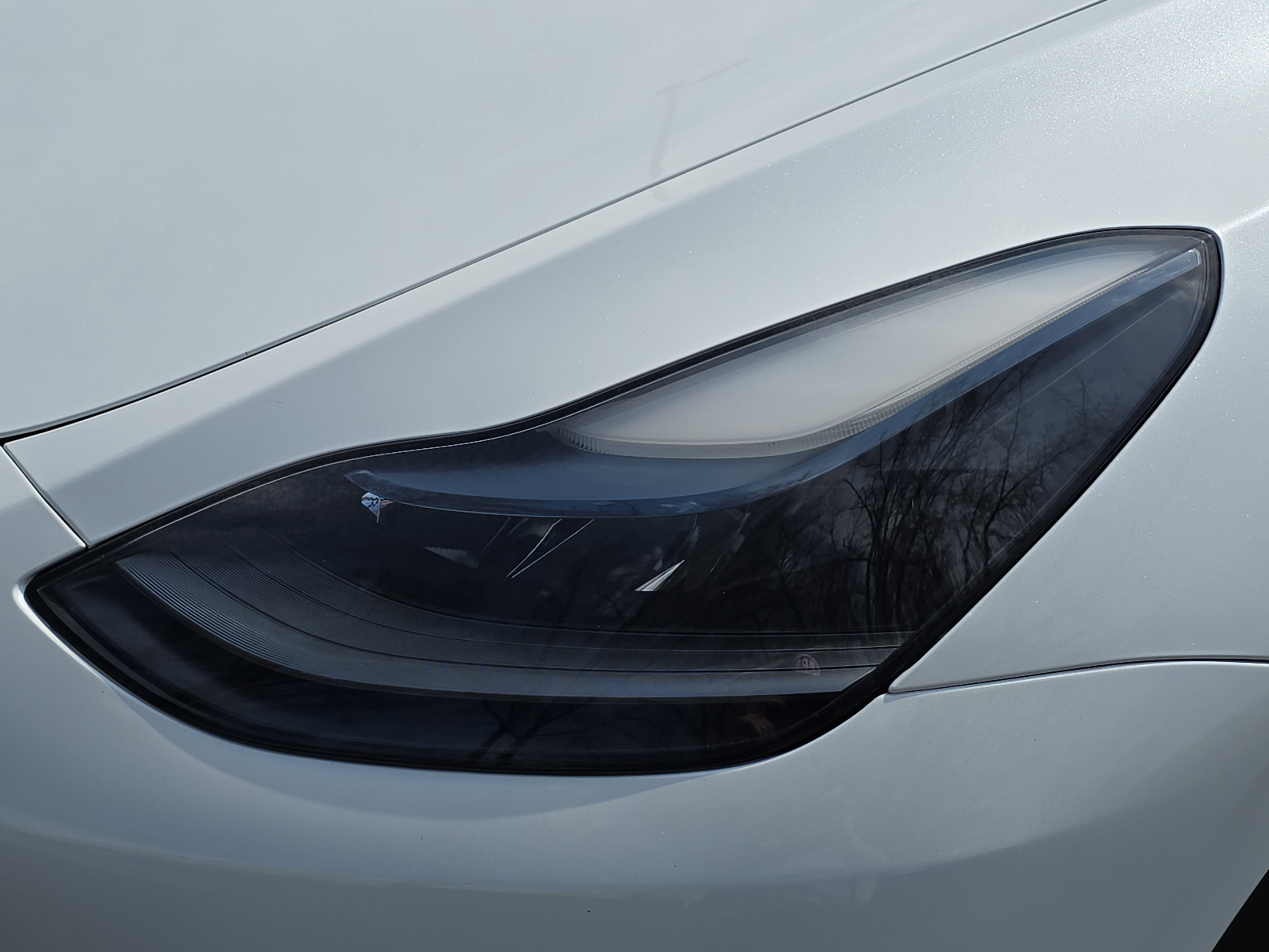 Used 2024 Tesla Model Y Long Range image 30