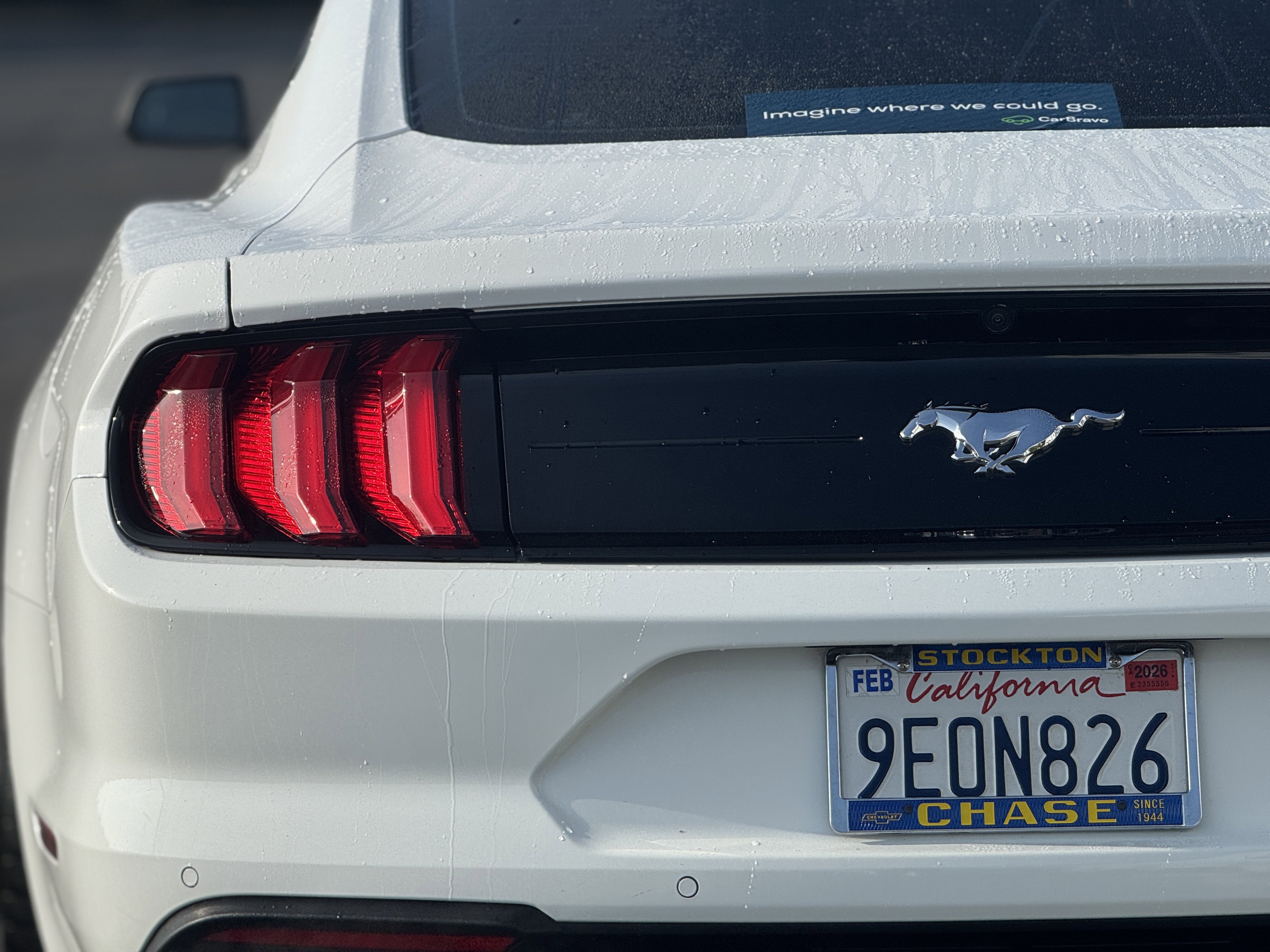 Used 2022 Ford Mustang Coupe w/ Equipment Group 101A image 7