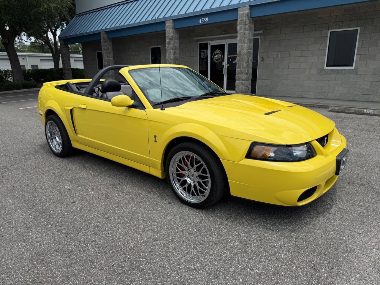 Used 2003 Ford Mustang Cobra RWD image 19