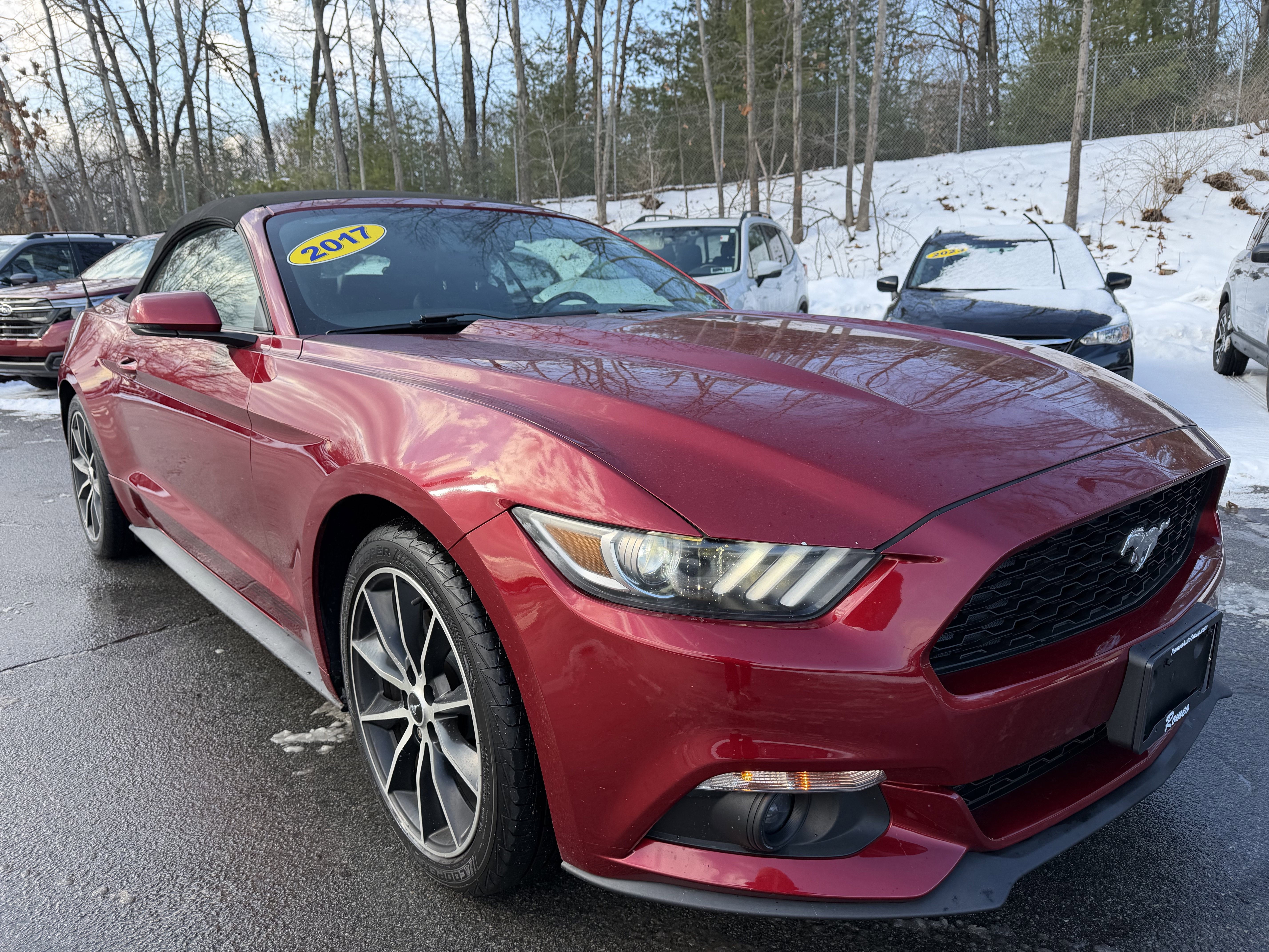 Used 2017 Ford Mustang Premium w/ Wheel & Stripe Package image 14