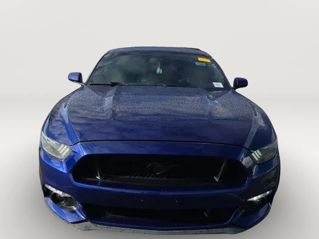 Used 2015 Ford Mustang GT w/ Equipment Group 051A RWD image 12