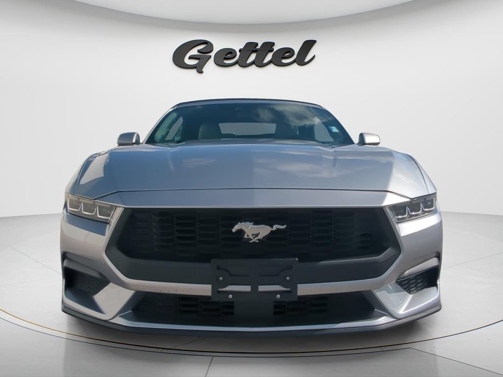 Used 2024 Ford Mustang Premium RWD image 2