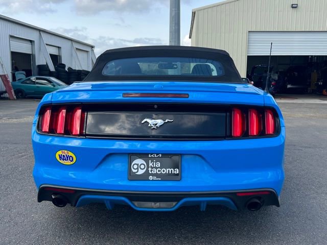 Used 2017 Ford Mustang Premium image 10