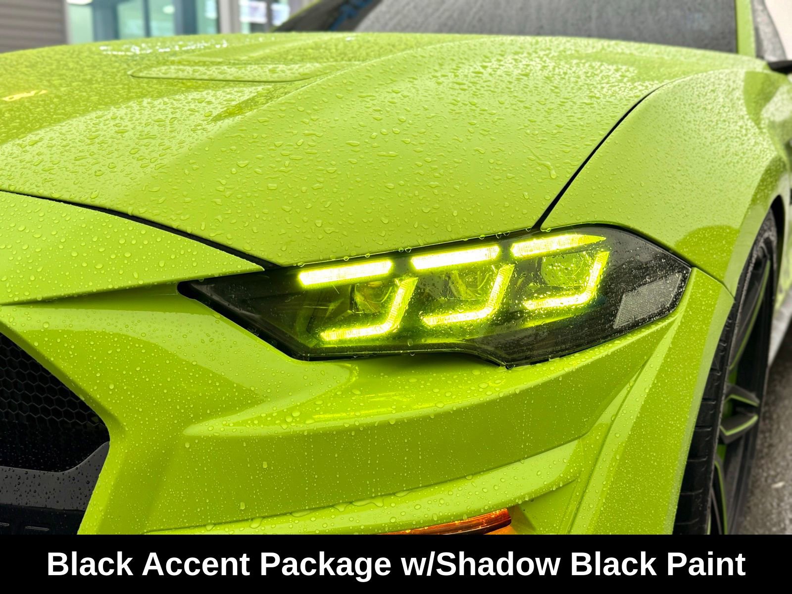 Used 2020 Ford Mustang GT w/ Equipment Group 301A image 7