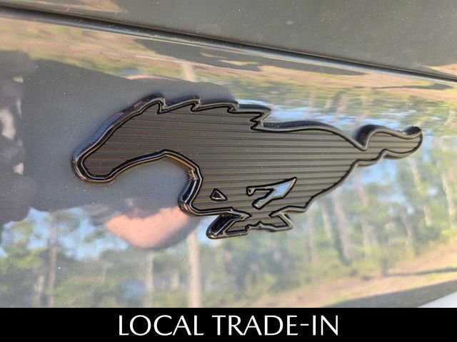 Used 2023 Ford Mustang Mach-E Premium w/ Mustang Nite Pony Package RWD image 6