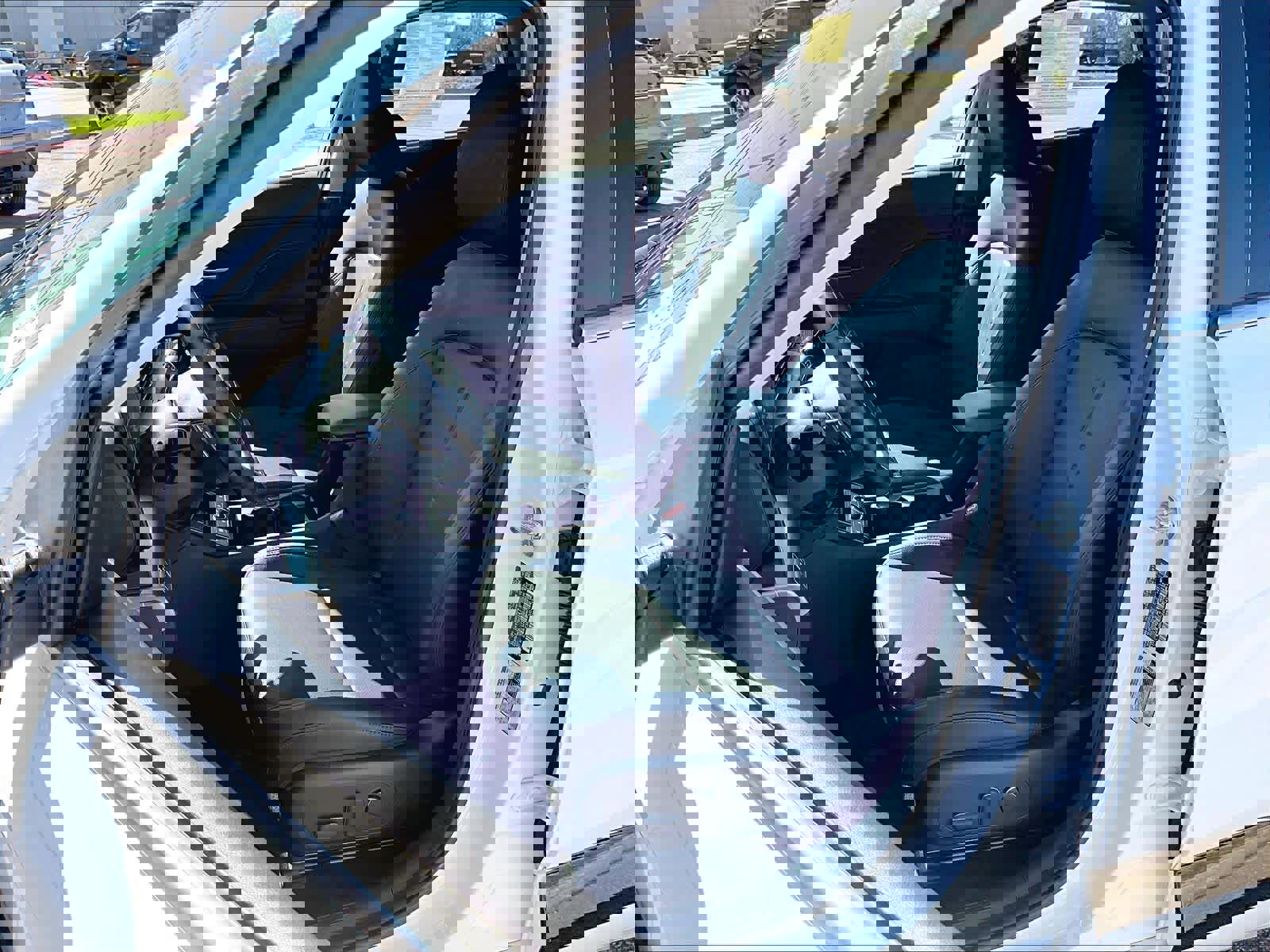 Used 2024 Hyundai Kona Limited image 10