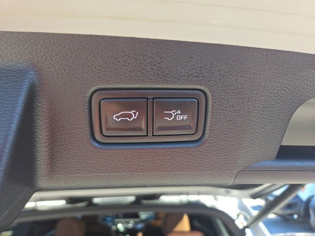 Used 2024 Kia Telluride SX Prestige X-Pro image 10