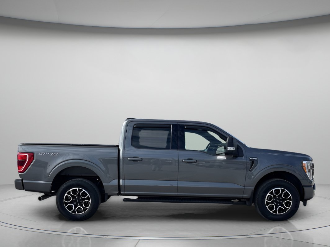 Used 2023 Ford F150 XLT w/ Equipment Group 302A High image 2