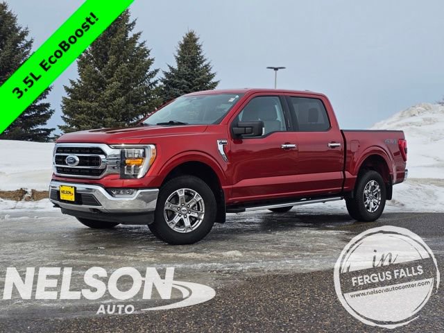 Used 2023 Ford F150 XLT w/ Equipment Group 302A High