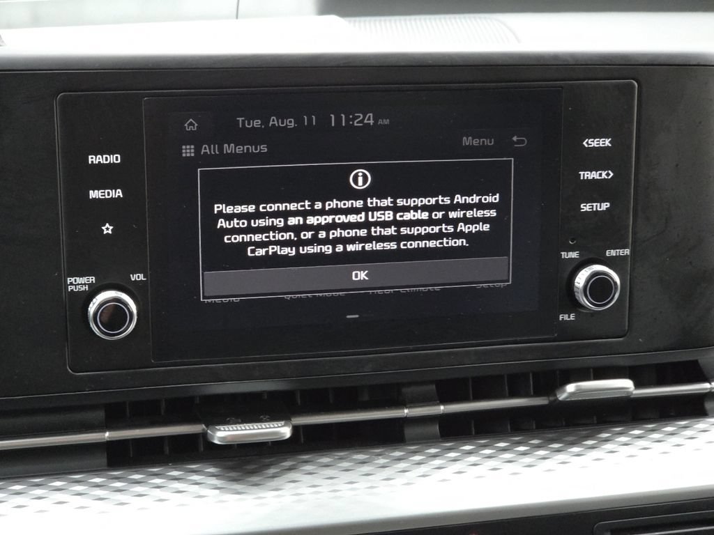 Used 2024 Kia Carnival LX FWD image 3