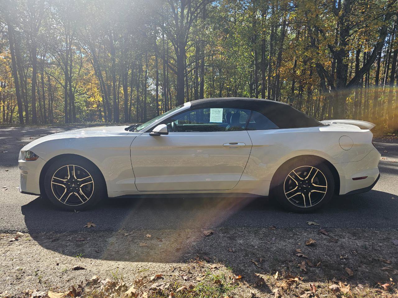Used 2018 Ford Mustang Premium RWD image 10