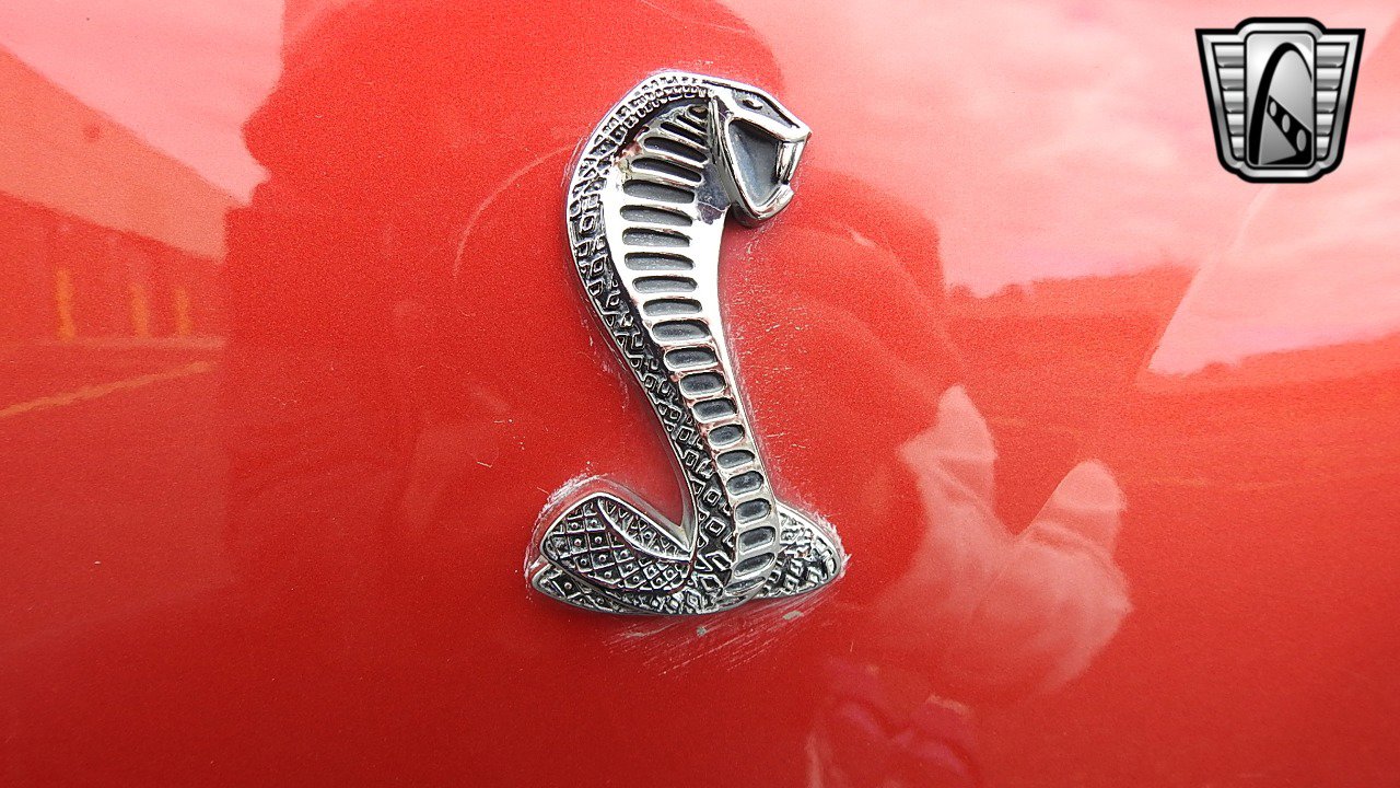 Used 2001 Ford Mustang Cobra image 13