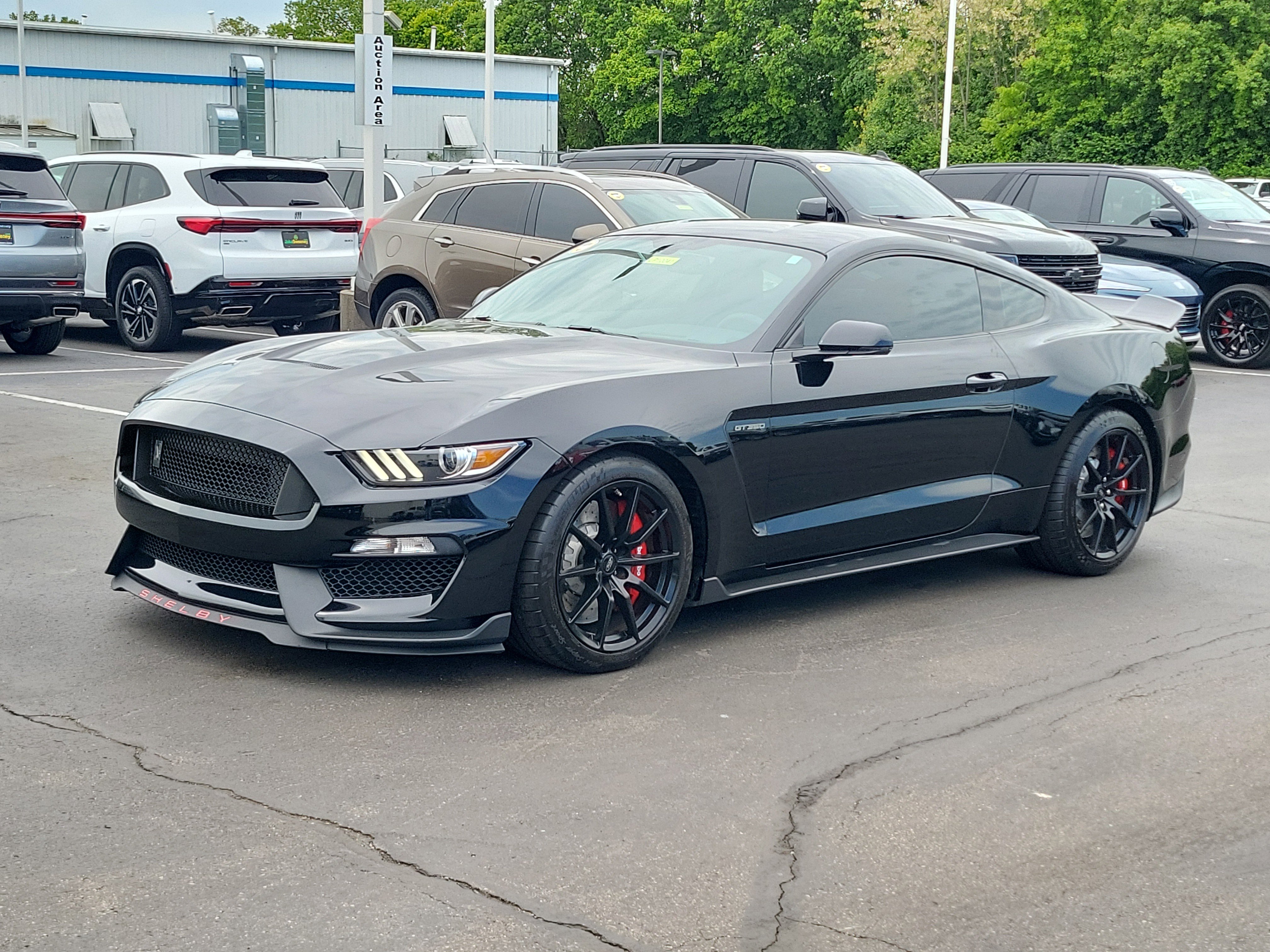 Used 2017 Ford Mustang Shelby GT350 RWD image 2