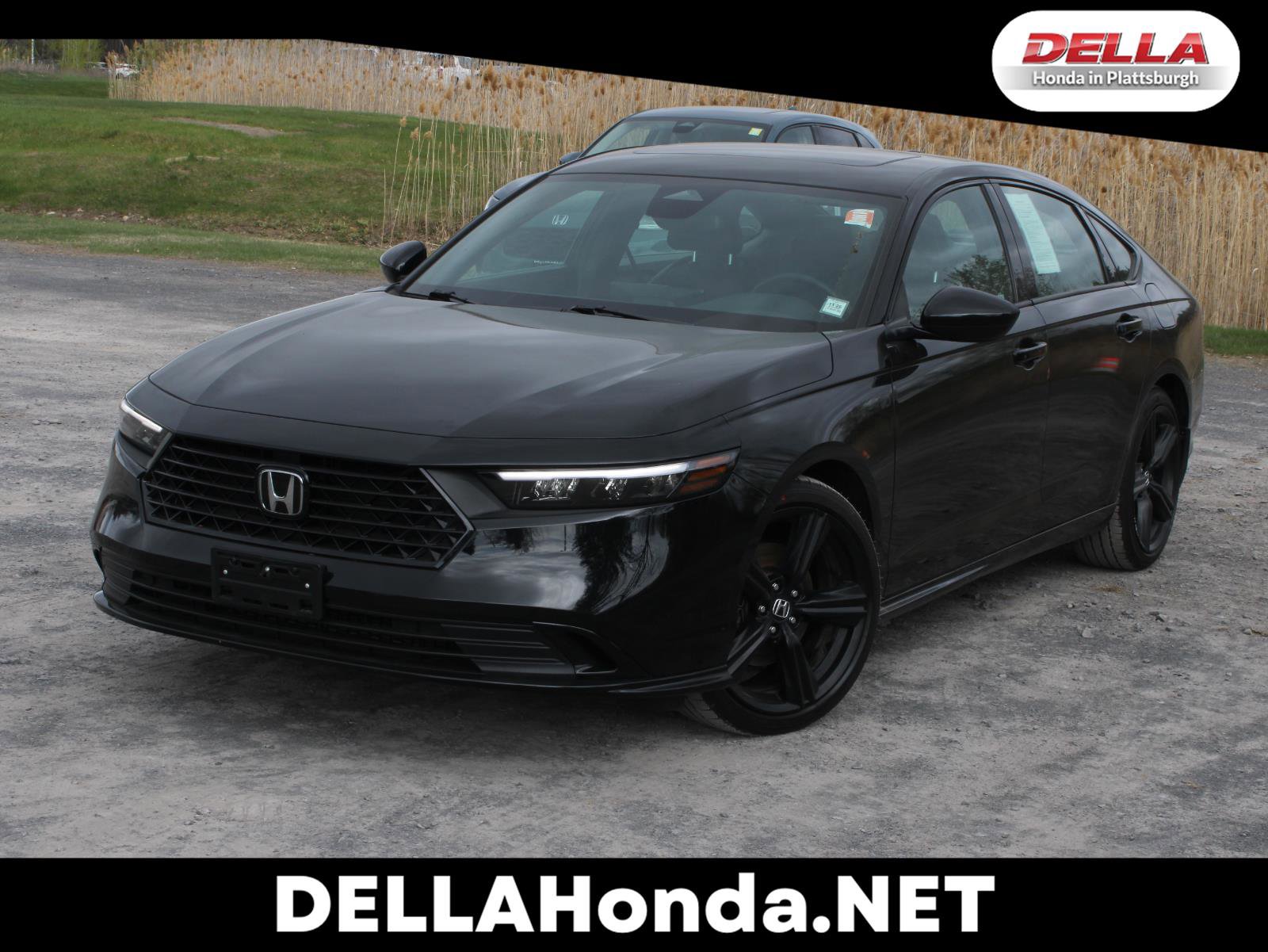 Used 2024 Honda Accord Sport image 1