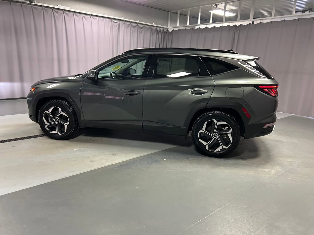 Used 2024 Hyundai Tucson Limited image 4