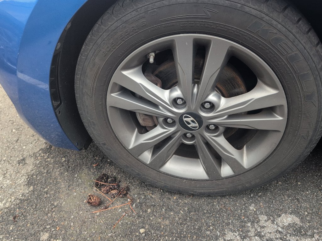 Used 2017 Hyundai Elantra SE FWD image 6