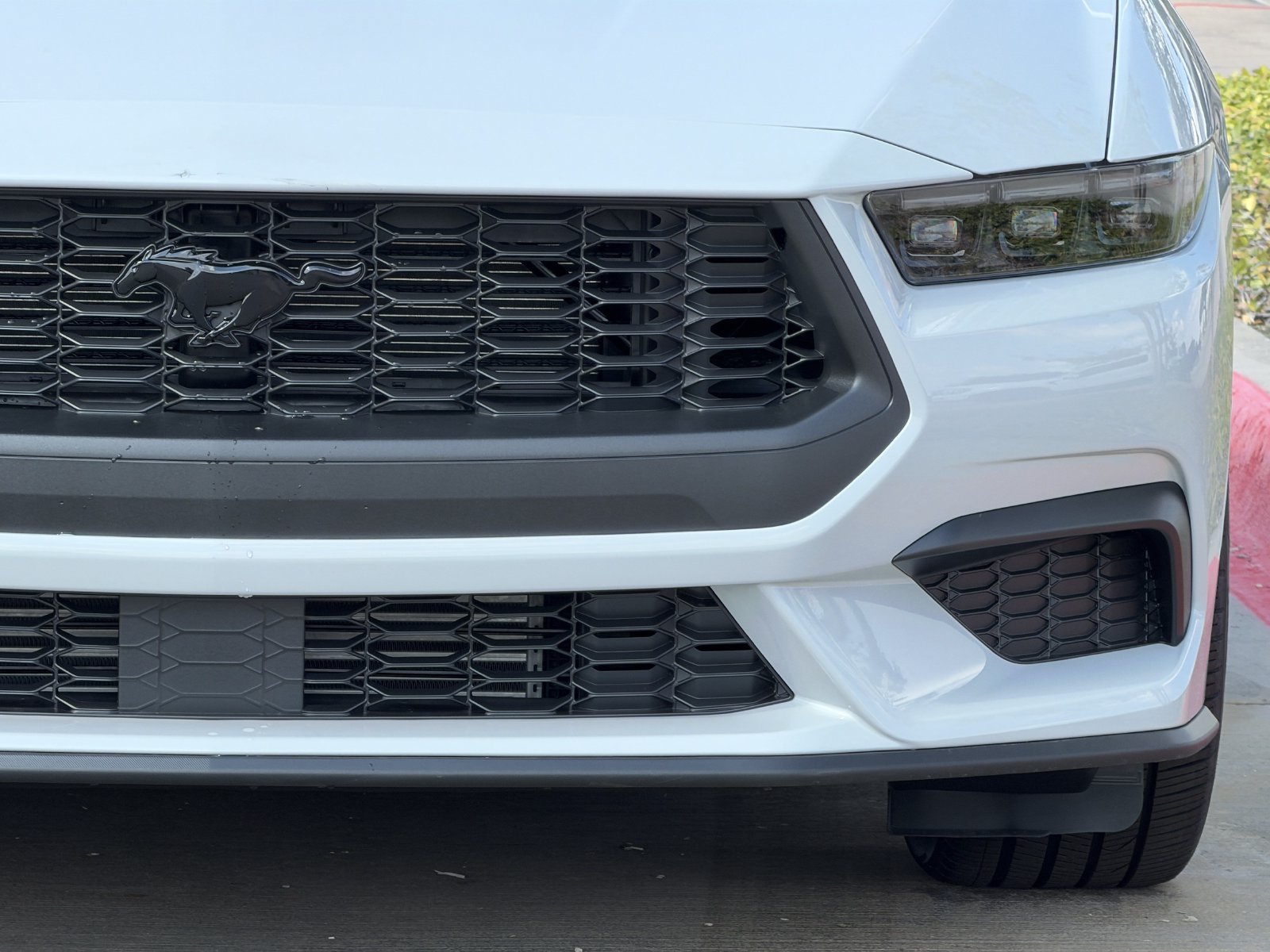 New 2026 Ford Mustang Coupe w/ Mustang Nite Pony Package RWD image 8