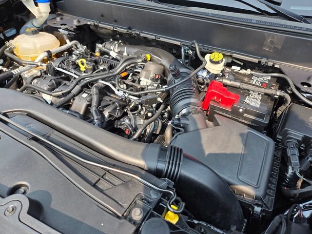 Used 2024 Ford Maverick Tremor w/ Tremor Off-Road Package AWD/4WD image 25