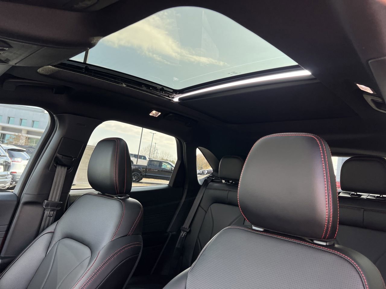 New 2026 Ford Escape ST-Line Elite w/ Premium Technology Package image 13